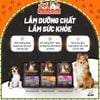 (3KG TẶNG 400G) Thức ăn hạt cho Chó con, Chó trưởng thành Ganador