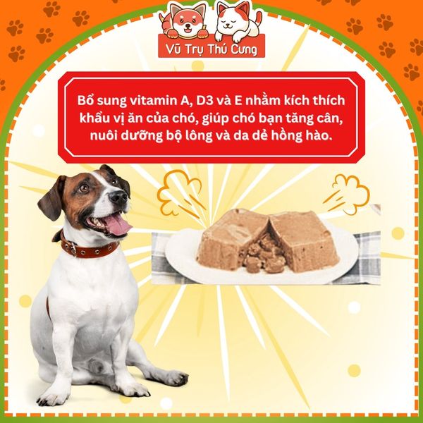 Combo 12 hộp Pate Monge cho Chó 100g, thành phần thịt và rau củ quả nhiều dinh dưỡng