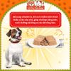 Combo 12 hộp Pate Monge cho Chó 100g, thành phần thịt và rau củ quả nhiều dinh dưỡng