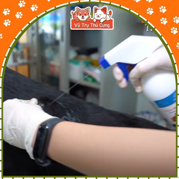 Chai xịt diệt ve rận, bọ chét cho Chó mèo Vime Frondog 250ml