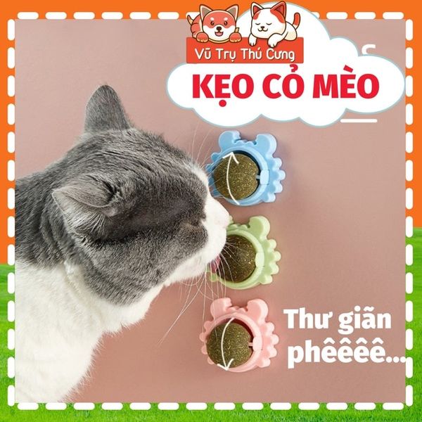 Đồ chơi Kẹo cỏ mèo giúp mèo thư giãn, tiêu búi lông và sạch răng
