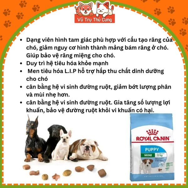 Thức ăn hạt Royal Canin Mini Puppy cho Chó con
