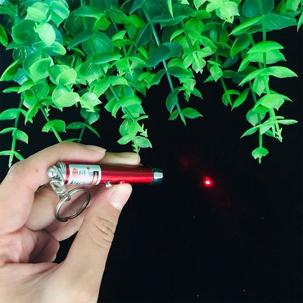 Đèn Laser trêu mèo, Đồ chơi đèn laze cho mèo giải toả căng thẳng