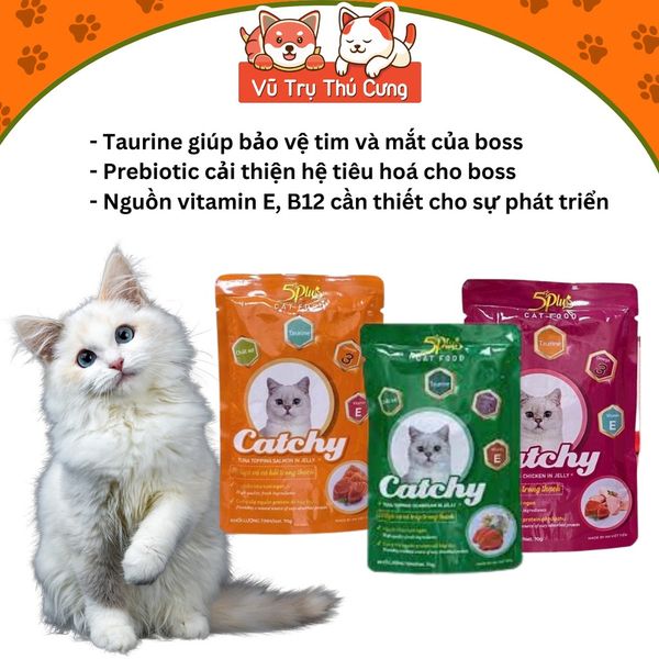 Combo 6 gói Pate 5Plus Catchy cho mèo 70g