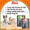 Pate Cho Mèo Mọi Lứa Tuổi Minino Cá Thịt Thật 70%