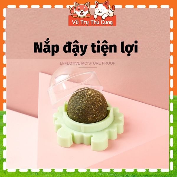 Đồ chơi Kẹo cỏ mèo giúp mèo thư giãn, tiêu búi lông và sạch răng