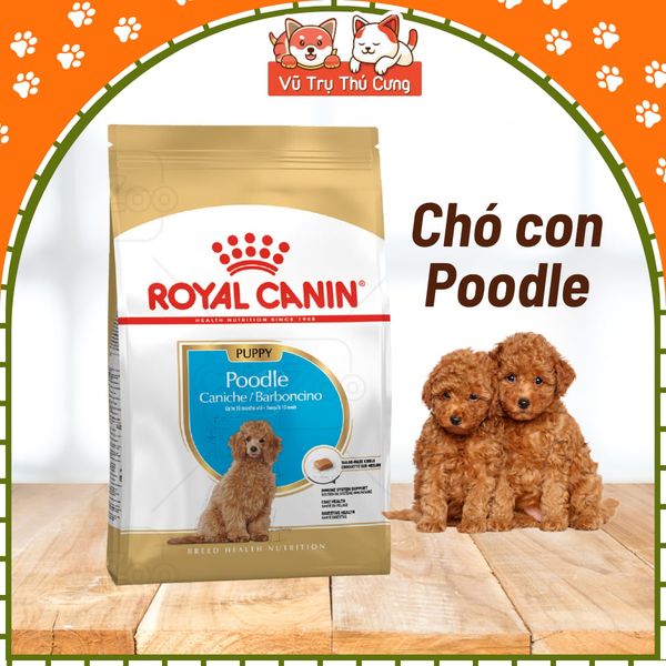 Hạt Cho Chó Con Royal Canin Poodle Puppy