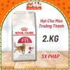 Hạt Royal Canin Fit 32 Dành Cho Mèo Trưởng Thành