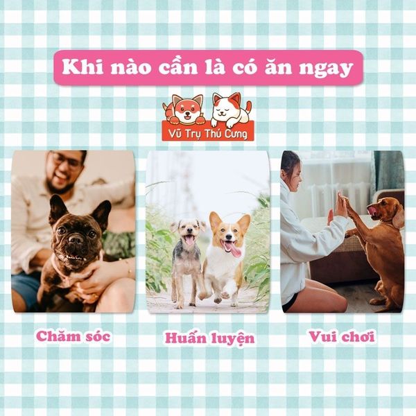 Xương sữa dê cho Chó Doggy Man 140g, bổ sung Canxi