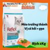 Thức Ăn Hạt Reflex cho mèo từ Thỗ Nhĩ Kỳ 2Kg2