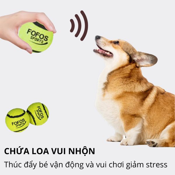 Đồ Chơi Cho Chó Combo 2 Bóng Tenis Gặm Và Huấn Luyện FOFOS