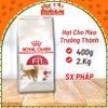 Hạt Royal Canin Fit 32 Dành Cho Mèo Trưởng Thành