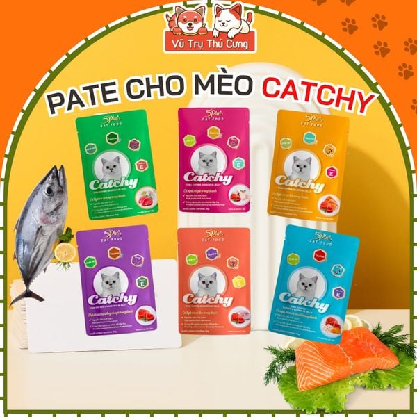Pate 5Plus Catchy cho Mèo Nhiều Dinh Dưỡng 70g