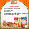 Combo 5 gói Súp thưởng Ciao Churu cho Mèo mix đủ vị