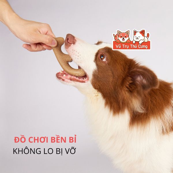 Đồ Chơi Nhai Gặm Cho Chó Bằng Sợi Gỗ Thông FOFOS