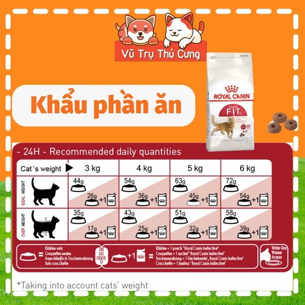 Hạt Royal Canin Fit 32 Dành Cho Mèo Trưởng Thành