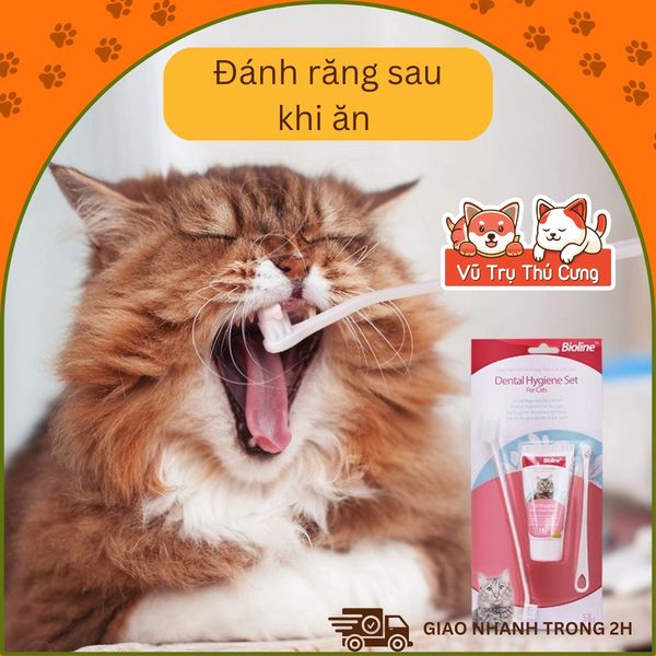 Kem đánh răng cho Mèo kèm bàn chải Bioline 50g, giúp làm sạch răng và giảm hôi miệng cho Mèo