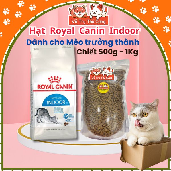 Hạt cho Mèo trưởng thành Royal Canin Indoor 500g/1kg2