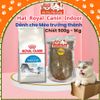 Hạt cho Mèo trưởng thành Royal Canin Indoor 500g/1kg2