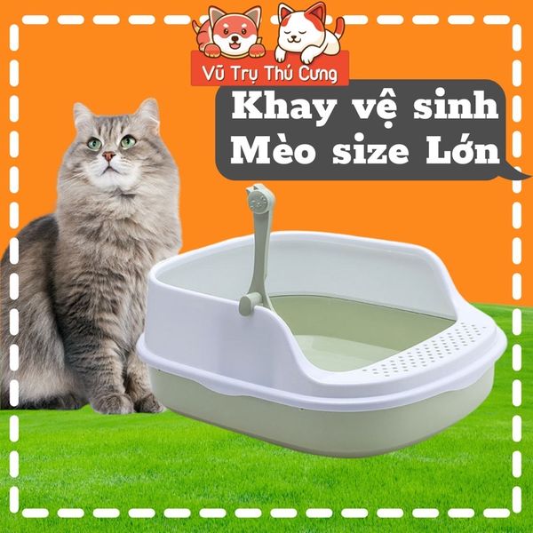 Khay vệ sinh cho mèo có thành cao, size lớn, chống văng cát