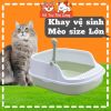 Khay vệ sinh cho mèo có thành cao, size lớn, chống văng cát
