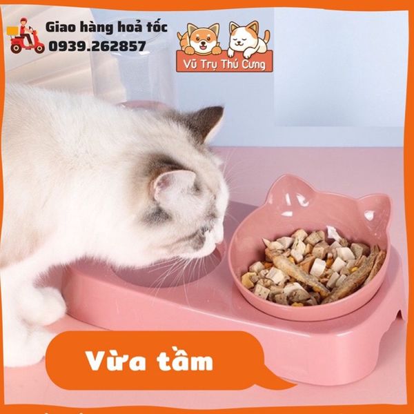 Bát Ăn Đôi Cho Thú Cưng Có Bình Nước Tự Động, Chống Gù Lưng