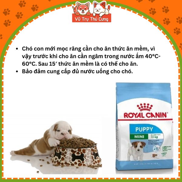 Thức ăn hạt Royal Canin Mini Puppy cho Chó con