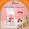 Hạt cho Mèo trưởng thành Royal Canin Fit32 (400g)