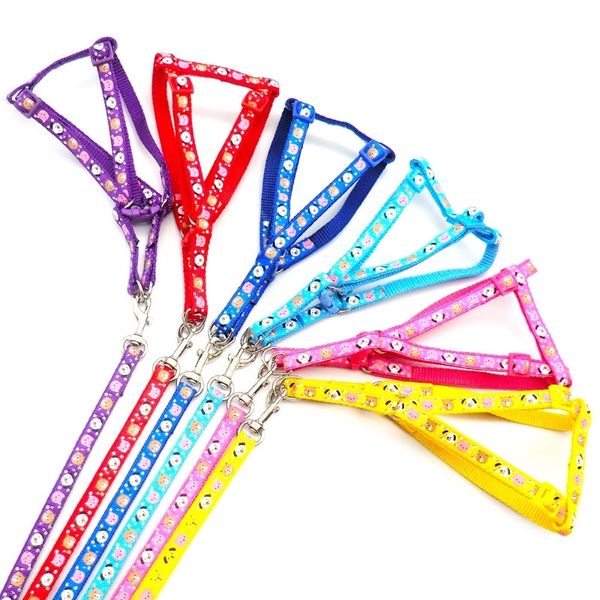 Set dây dắt chó mèo đi dạo, dây vòng cổ, dây yếm (màu ngẫu nhiên)