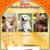 Snack Cho Chó Viên Gà Nướng Mềm Saya Doggy Man 100g
