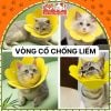 Vòng cổ chống liếm cho chó mèo, hình bông hoa dễ thương