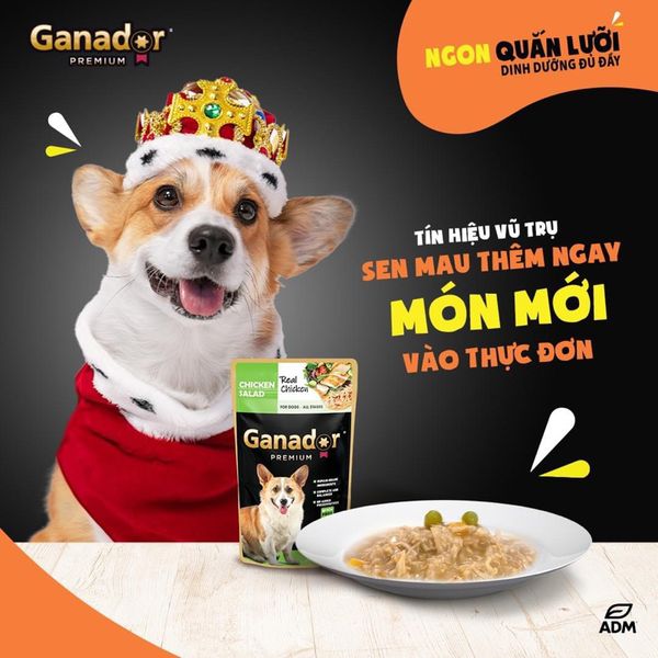Pate Ganador Chó Mọi Lứa Tuổi Từ Thịt Gà Thật 120g