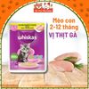 Pate Whiskas dành cho mèo con, mèo trưởng thành 80g