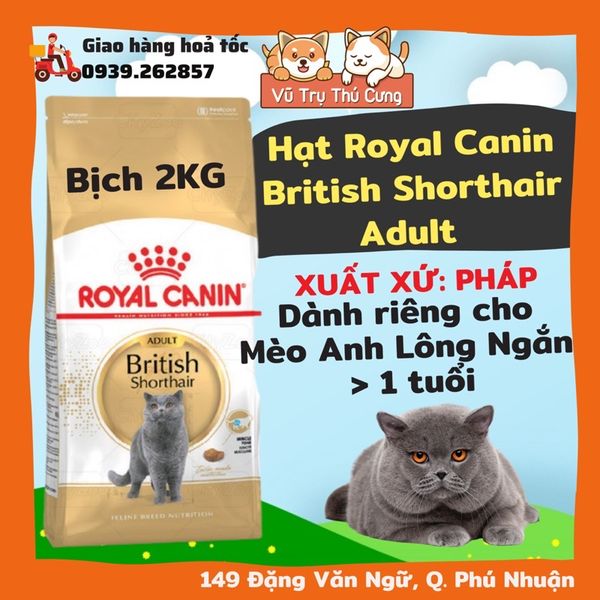 Hạt Royal Canin British Shorthair dành cho Mèo Anh Lông Ngắn trưởng thành 400g