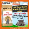 Hạt Royal Canin British Shorthair dành cho Mèo Anh Lông Ngắn trưởng thành 400g