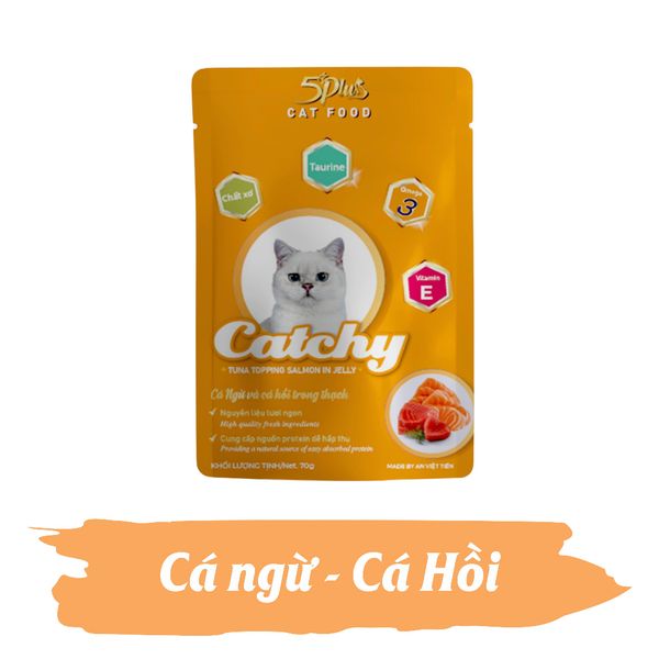 Pate 5Plus Catchy cho Mèo Nhiều Dinh Dưỡng 70g