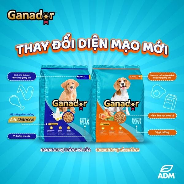 (3KG TẶNG 400G) Thức ăn hạt cho Chó con, Chó trưởng thành Ganador