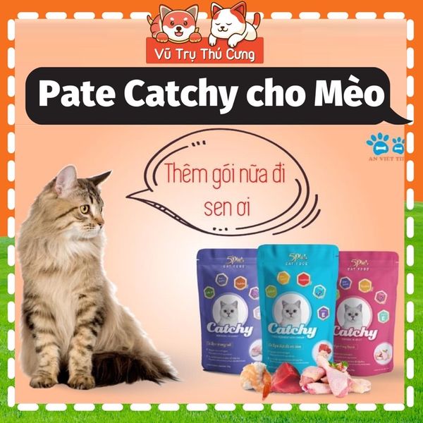 Pate 5Plus Catchy cho Mèo Nhiều Dinh Dưỡng 70g