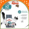 (2Kg) Hạt Cho Mèo Royal Canin Hairball Hỗ Trợ Tiêu Búi Lông