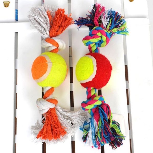 Đồ chơi nhai gặm cho Chó, bóng cao su kèm dây thừng