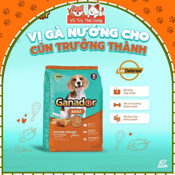 Hạt cho Chó Ganador Mọi Độ Tuổi Đa dạng Hương vị, Dinh dưỡng Tối ưu 1,2kg