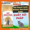 Hạt Royal Canin British Shorthair dành cho Mèo Anh Lông Ngắn trưởng thành 400g