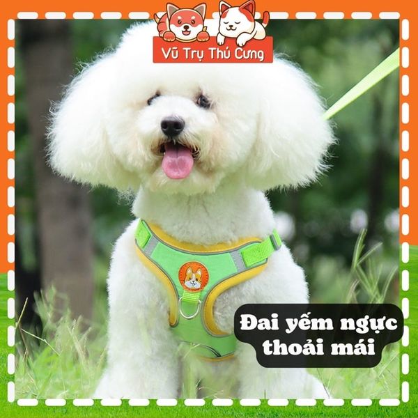 Đai yếm kèm dây dắt thú cưng đi dạo, thiết kế nịt ngực chắc chắn, tiện lợi