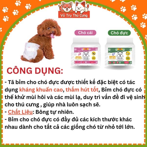 Bỉm cho chó Kamt, Tã quần cho chó cái và chó đực siêu thấm hút 10 miếng