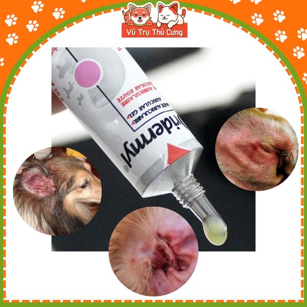 Nhỏ vệ sinh tai chó mèo, ve tai, rận tai, hôi tai OTOKLEN, ORIDERMYL