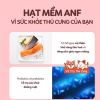 Thức Ăn Hạt Mềm Cho Chó ANF Soft Hàn Quốc