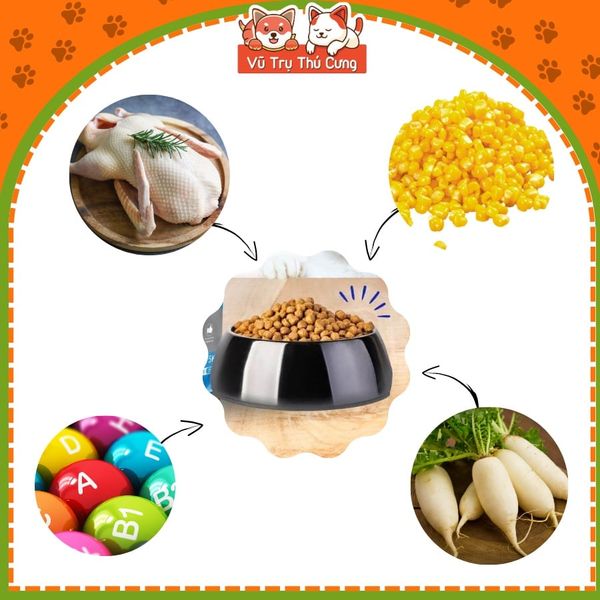 (Có quà tặng) Thức ăn hạt cho mèo mọi lứa tuổi Cat’s On 1kg