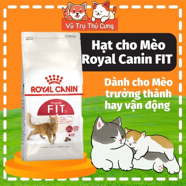 Hạt Royal Canin Fit 32 Dành Cho Mèo Trưởng Thành