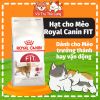 Hạt Royal Canin Fit 32 Dành Cho Mèo Trưởng Thành