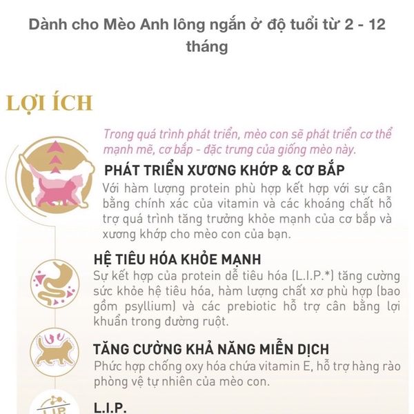 Hạt Royal Canin British Shorthair Kitten Dành Cho Mèo Anh Lông Ngắn 400g